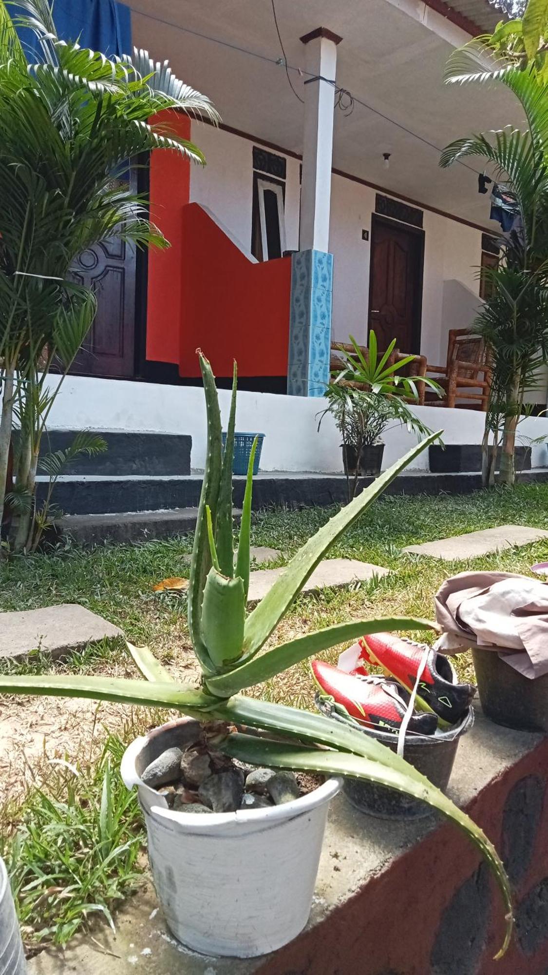 Roy Homestay Kuta Kuta  Εξωτερικό φωτογραφία